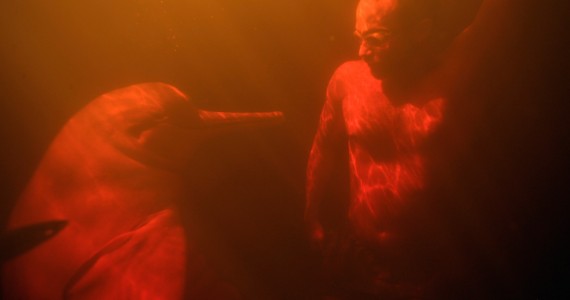 Subaquática com dois “Mamíferos Aquáticos”