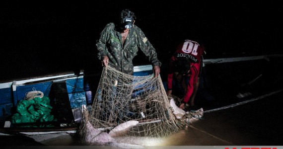 Escondidos pela noite e pela camuflagem, o sofrimento do Boto e a morte por afogamento