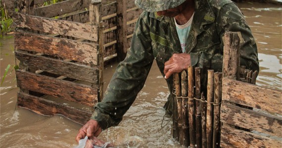 Alerta Vermelho mostrando a técnica de pesca da piracatinga, pedaços de Boto são colocados na água e atraem os peixes para dentro de currais